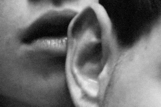 Ear