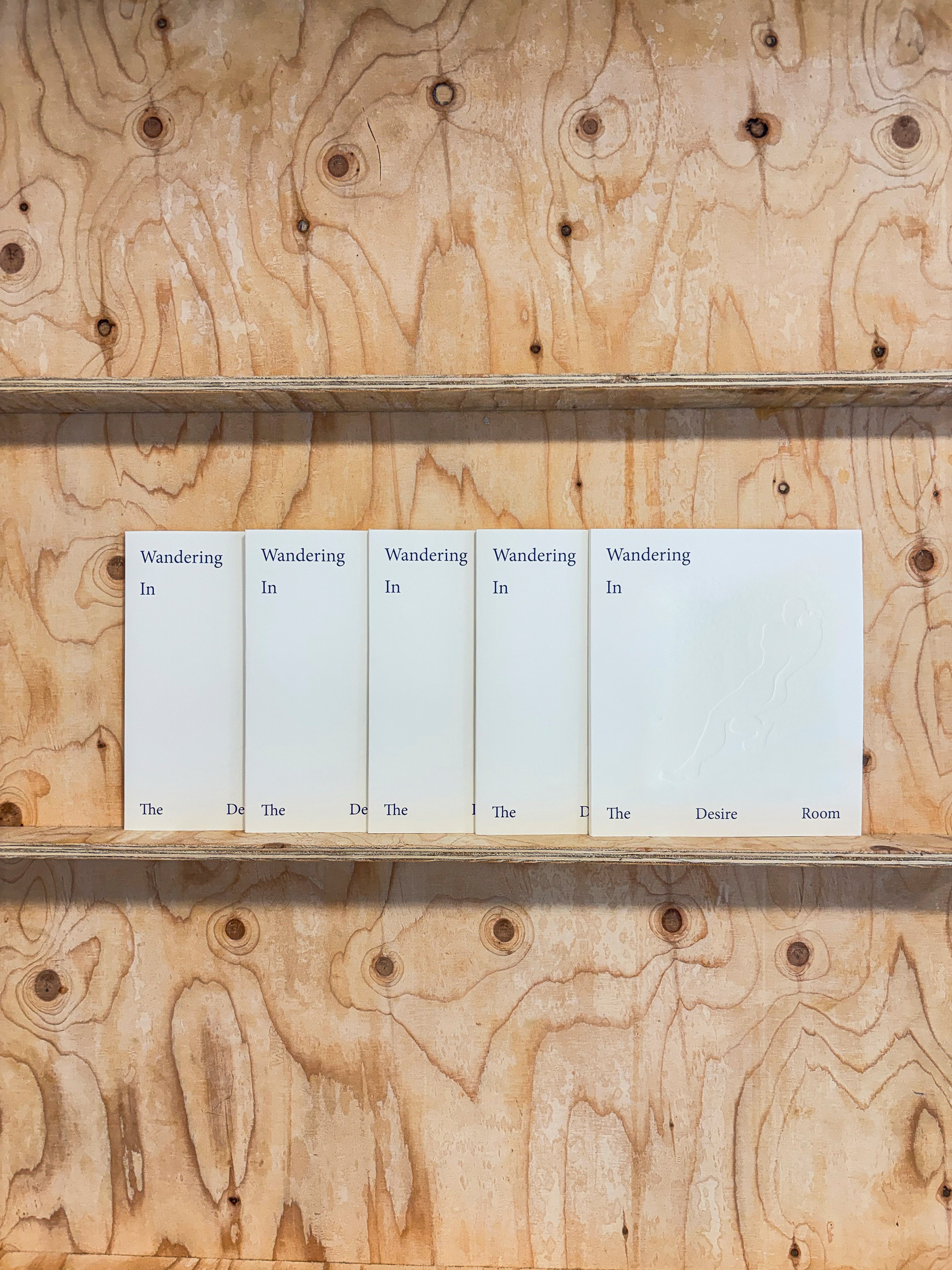 Wandering In The Desire Room